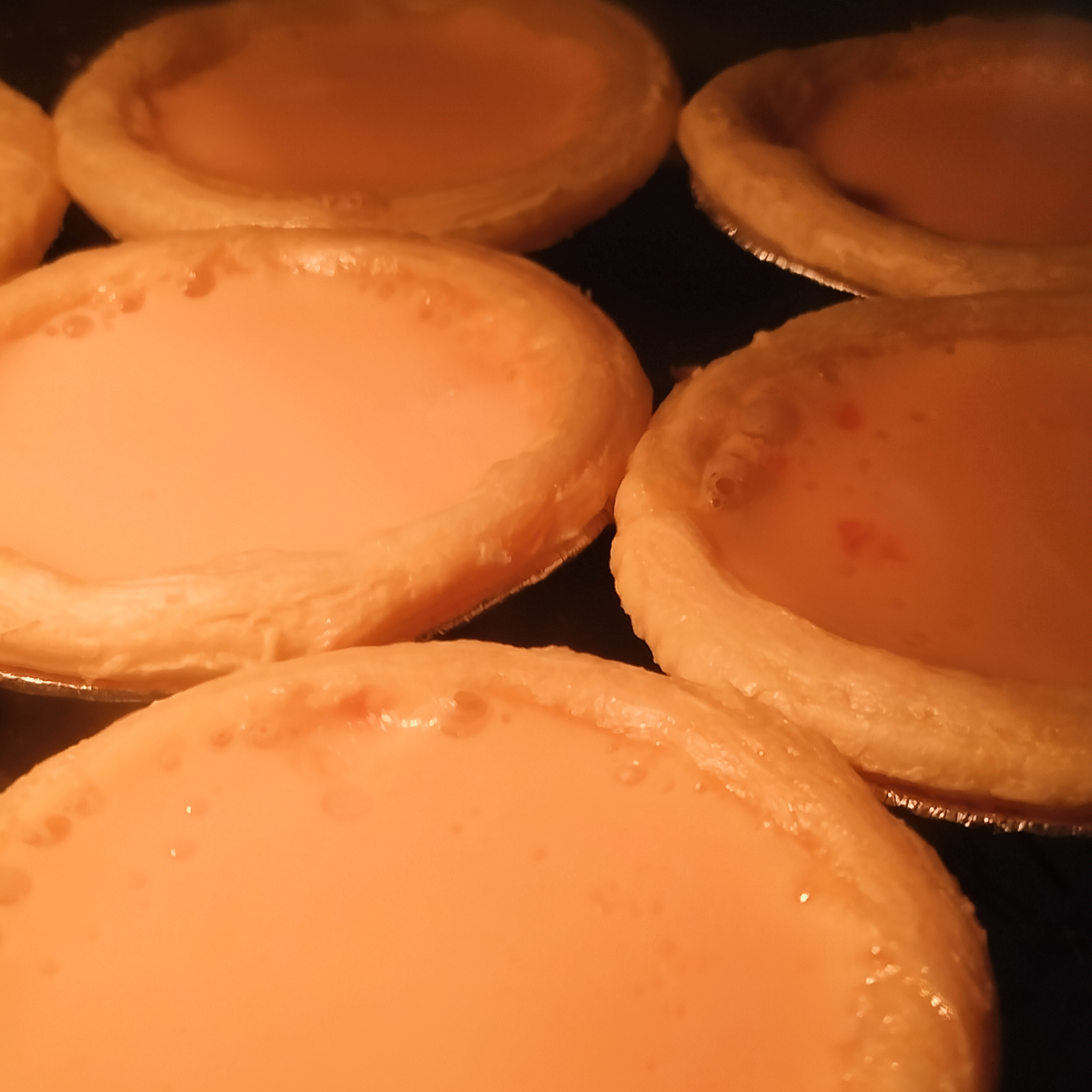 c7af6031e23ab4af9a70275d31859f7